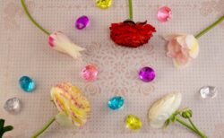 人生の課題に出会うとは？ゼリツィンとの出会いが・・驚きを与えてくれる❣