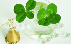 はじめての潜在意識講座を開催します！