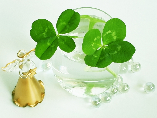 はじめての潜在意識講座を開催します!